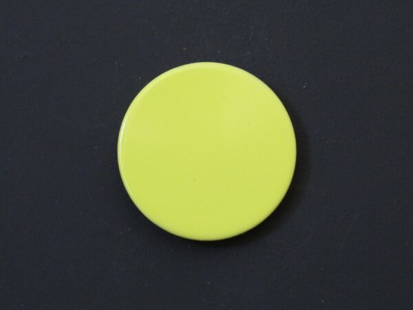 10 Magnets Ronds de 20 mm