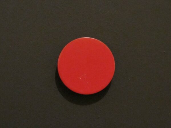 Lot de 2 magnets rond Ø 20 mm