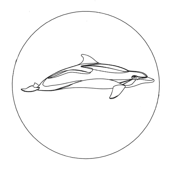Dessous-de-verre-dauphin-JD-BOUTIQUE
