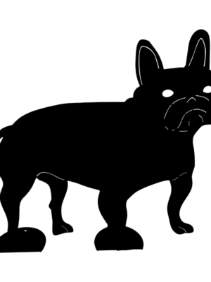 Bouledogue-sur-pied-noir-JDBOUTIQUE