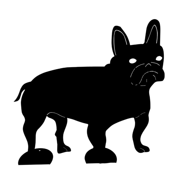 Bouledogue-sur-pied-noir-JDBOUTIQUE