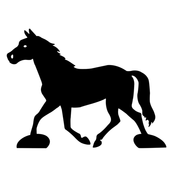 Cheval-au-trot-sur-pied-noir-JDBOUTIQUE