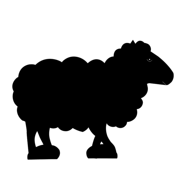 Mouton-sur-pied-noir-JDBOUTIQUE
