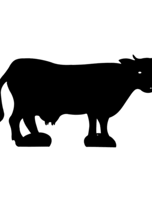 Vache-sur-pied-noir-JDBOUTIQUE
