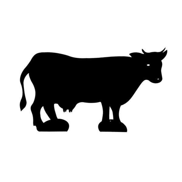 Vache-sur-pied-noir-JDBOUTIQUE