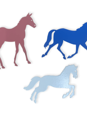 lot-de-magnet-chevaux-JDBOUTIQUE