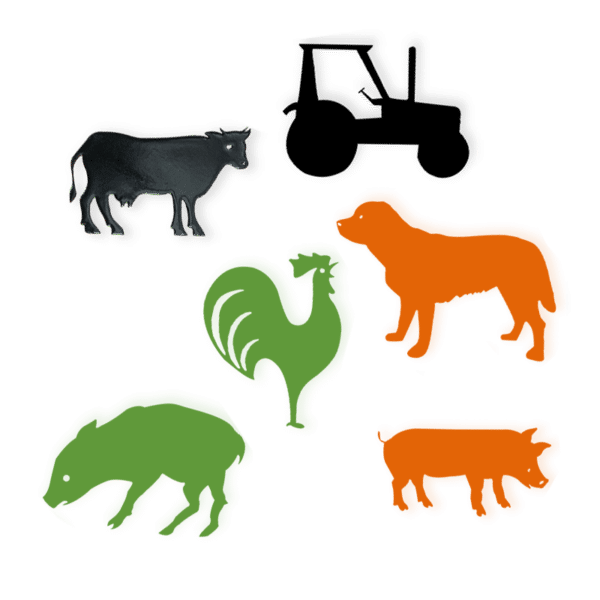 Lot aimants grands animaux de la ferme orange JD Boutique