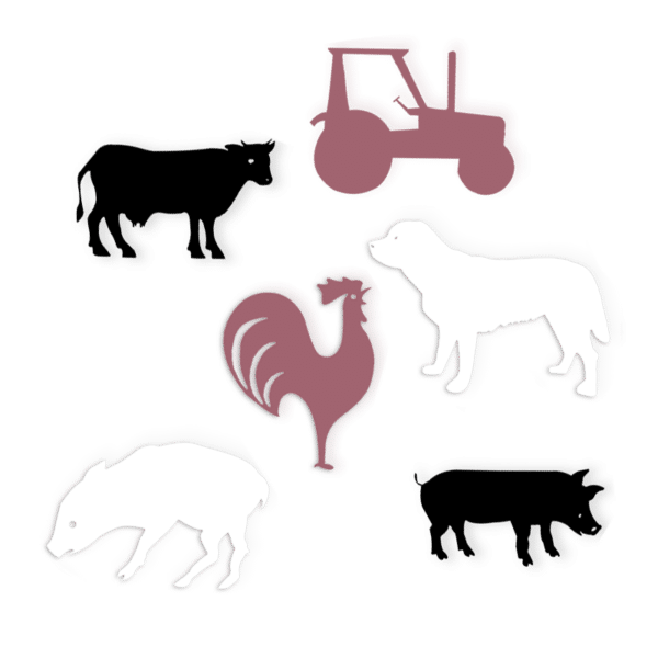 Lot aimants grands animaux de la ferme rose JD Boutique