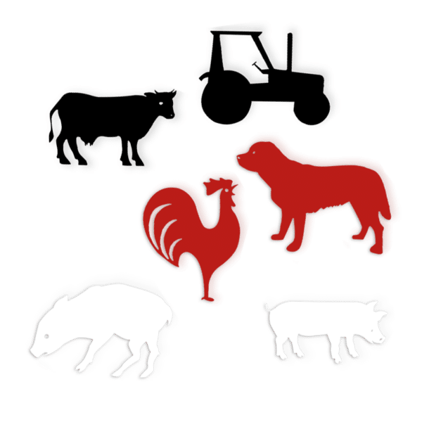 Lot aimants grands animaux de la ferme rouge JD Boutique