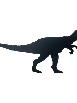 tableau-dinosaure-ardoise-JDBOUTIQUE