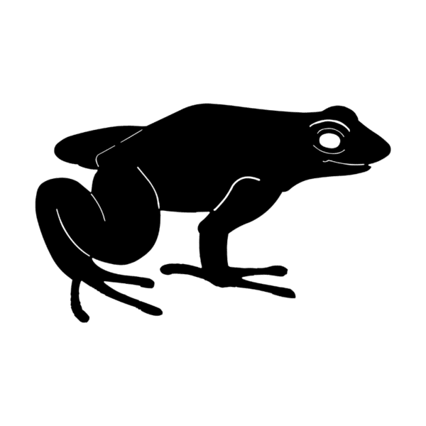 tableau-grenouille-ardoise-JDBOUTIQUE