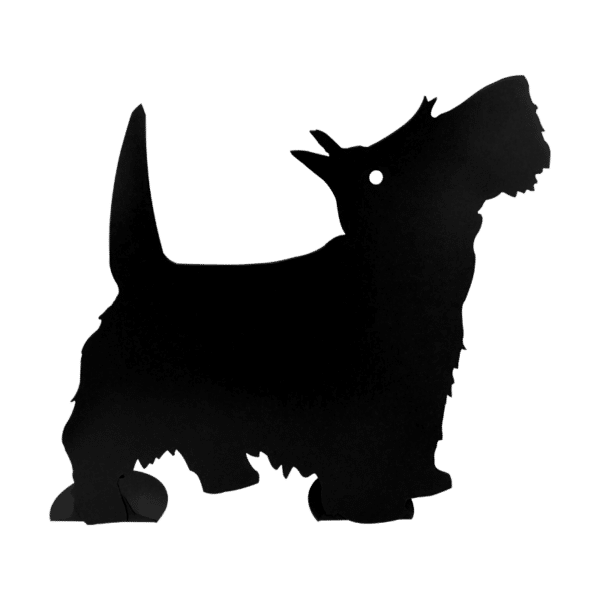 Chien-sur-pied-noir-JDBOUTIQUE